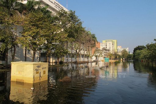 11-11-11 (11).jpg